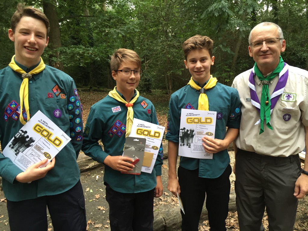 scouts-triple-gold-award